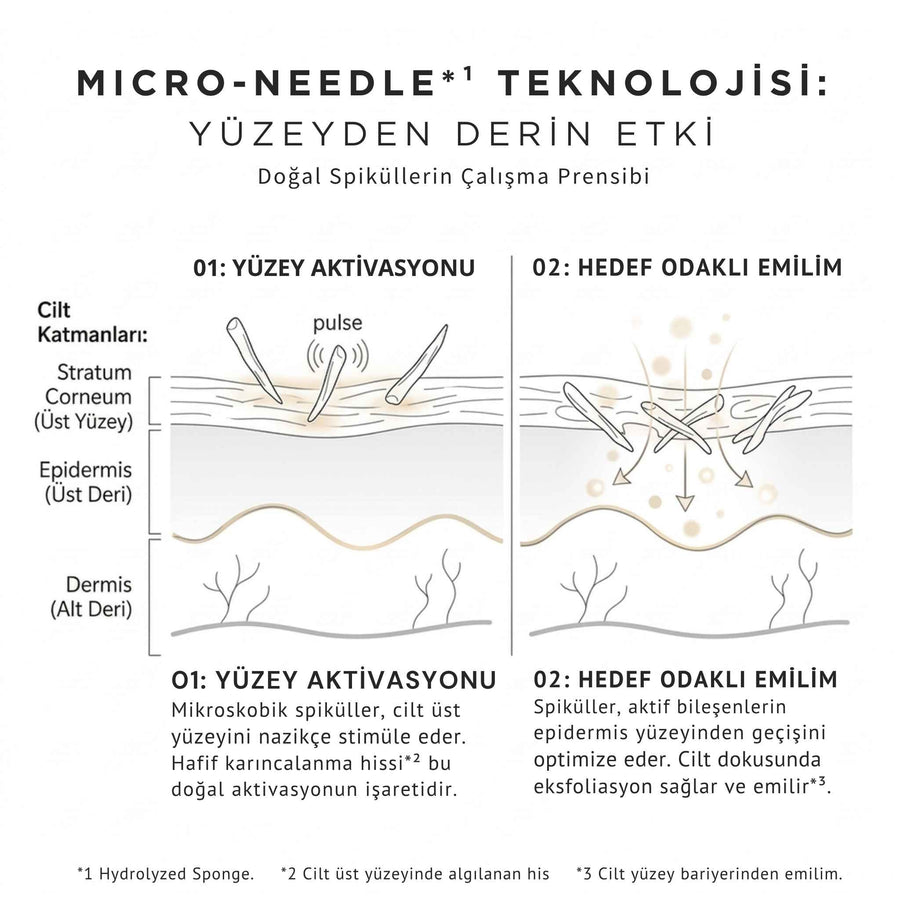 Micro-needle teknolojisi şeması: doğal spiküllerin cilt üst yüzeyinde yüzey aktivasyonu ve hedef odaklı emilim aşamaları
